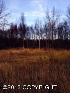 2120 N Eugene Drive, Palmer, AK 99645 