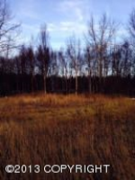 2120 N Eugene Drive, Palmer, AK 99645 