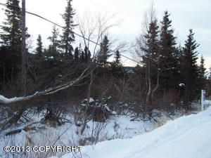 L3A B2 Jaime Avenue, Anchorage, AK 99516 