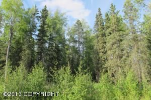 3461 W Coghlan Circle, Wasilla, AK 99654 