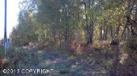 Par 2 E Tex-Al Drive, Wasilla, AK 99654 