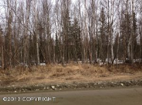 10723 W Forest Lake Drive, Wasilla, AK 99654 