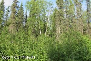 3383 W Coghlan Circle, Wasilla, AK 99654 
