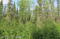 3383 W Coghlan Circle, Wasilla, AK 99654 