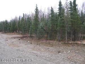 L13 Irish Setter Circle, Wasilla, AK 99654 