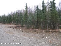 L13 Irish Setter Circle, Wasilla, AK 99654 