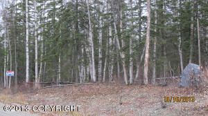 8575 W John Street, Wasilla, AK 99654 