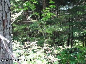 L1 B22 Higher Terrace, Girdwood, AK 99587 