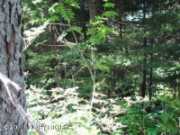 L1 B22 Higher Terrace, Girdwood, AK 99587 