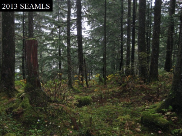 5201 Thane Road, Juneau, AK 99801 