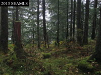 5201 Thane Road, Juneau, AK 99801 