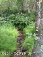 5240 E 147th Avenue, Anchorage, AK 99516 