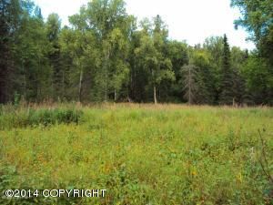 5234 S This Way, Wasilla, AK 99654 