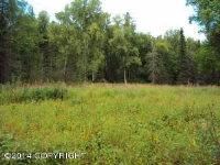 5234 S This Way, Wasilla, AK 99654 