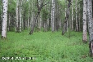 1738 E Sage Road, Wasilla, AK 99654 