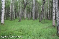 1738 E Sage Road, Wasilla, AK 99654 