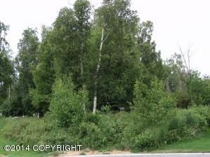 12400 Chokecherry Circle, Anchorage, AK 99515 