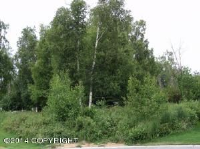 12400 Chokecherry Circle, Anchorage, AK 99515 