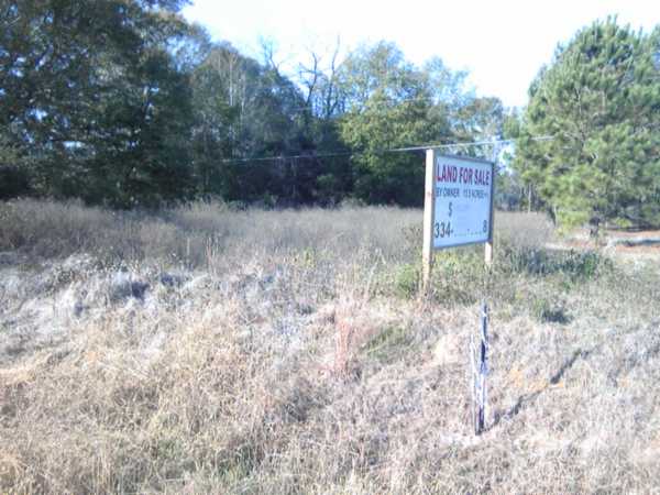 0 Highway 63, Eclectic, AL 36024 