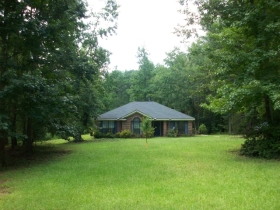 1141 OLD AVANT RD, ECLECTIC, AL 36024