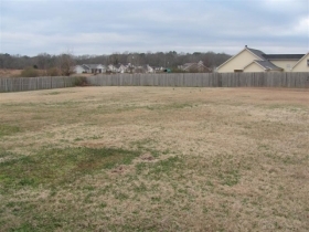 10921 MIDDLE COALING RD, COALING, AL 35453 