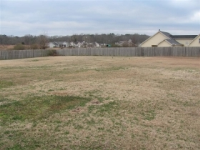 10921 MIDDLE COALING RD, COALING, AL 35453 