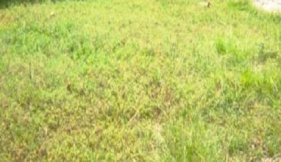 22 Lamar Ave, Selma, AL 36701 