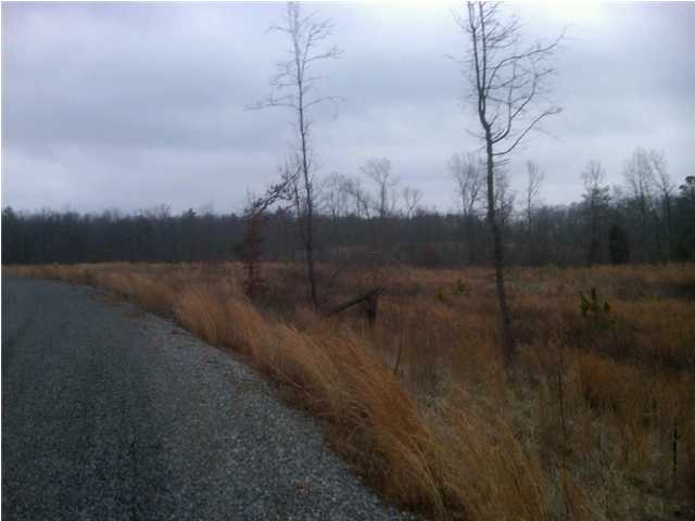 LOT 9 SUMMERHOUSE ESTATES, BRIDGEPORT, AL 35740 