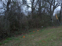 2628 Acres County Rd,23, White Hall, AL 36040 Foreclosure