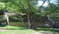 4246 Centerwood Dr, Birmingham, AL 35215 
