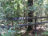 8554 D Olive Road, Spanish Fort, AL 36527 