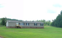7909 DOGTOWN RD, Nauvoo, AL 35578 