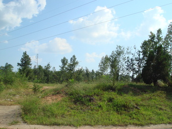 5285 Balboa Ave, Pinson, AL 35126 