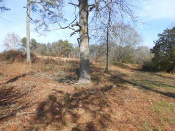 716 County Rd 170, Crossville, AL 35962 