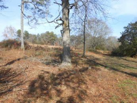 716 County Rd 170, Crossville, AL 35962 