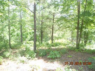Brushy Creek Pointe Lot #42, Brushy Creek, AL 35541 