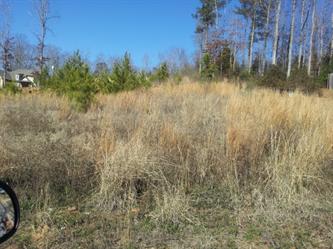 ,10, Northport, AL 35475 