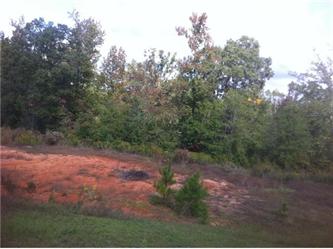 Well Creek Ln Lot 26, Ralph, AL 35480 