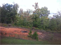 Well Creek Ln Lot 26, Ralph, AL 35480 