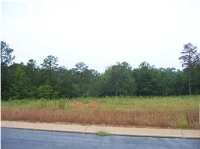 Well Creek Ln Lot 28, Ralph, AL 35480 