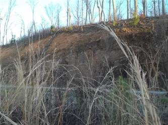 25 Monte Sano Drive, Scottsboro, AL 35769 