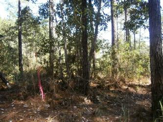 9580 Beach Rd, Theodore, AL 36582 