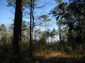 Lot 3 Beach Rd, Theodore, AL 36582 
