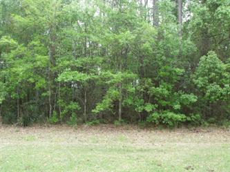 Lot 13 Riverwood Estates (Apn# R023, Theodore, AL 36582 