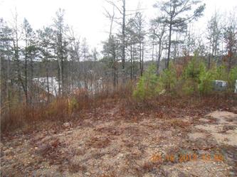 Lot 8 Brookwater Pointe (Apn#08-09-, Wedowee, AL 36278 