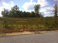 Belle Meade Cir Lot 3, Northport, AL 35475 