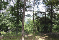 Bluff, Huntsville, AL 35802 