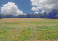 Love Branch Road, Harvest, AL 35749 