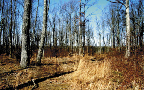 Dudley Road, Gurley, AL 35748 