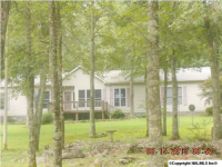 600 Lewis Mountain Road, New Market, AL 35761 